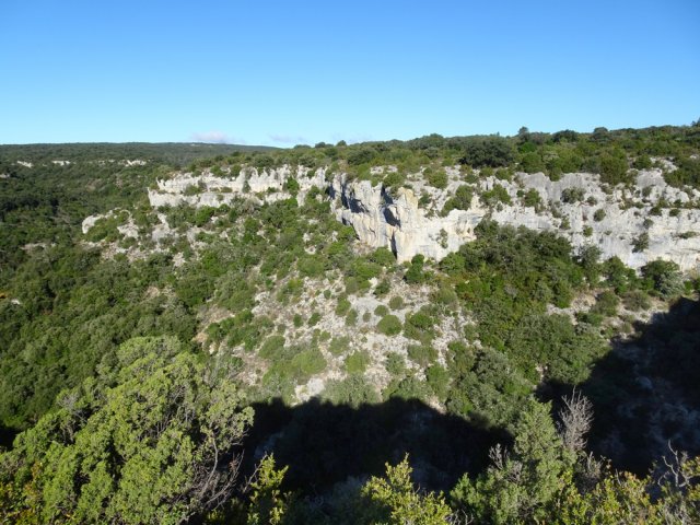 La vallée du Ruisseau de Coupiat vers l'amont
