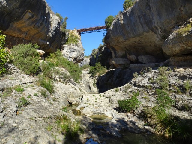 Le confluent du Ruisseau de Coupiat et sa passerelle