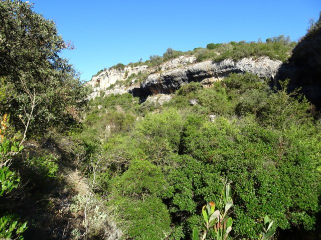 Poursuivre ou non vers l'amont