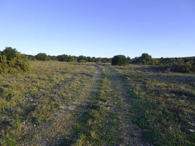 Longue montée régulière en rive droite du Ruisseau de Coupiat