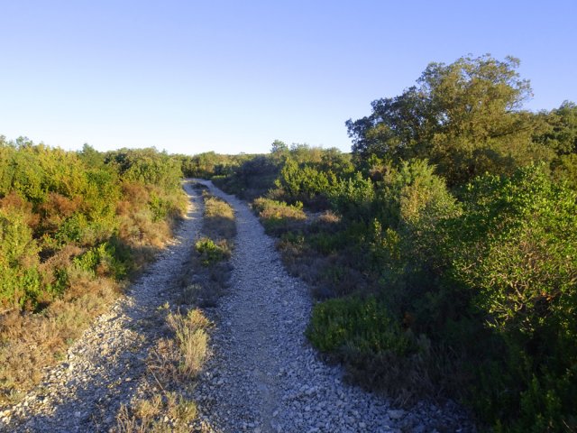 La piste se couvre de plus en plus de petits cailloux