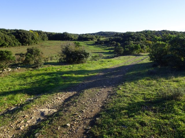 Traversée des prairies d'altitude de Contadis