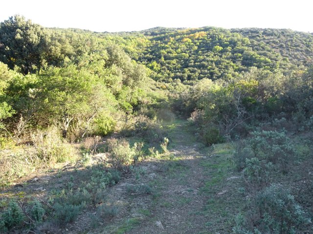 La piste se transforme en sentier de plus en plus étroit