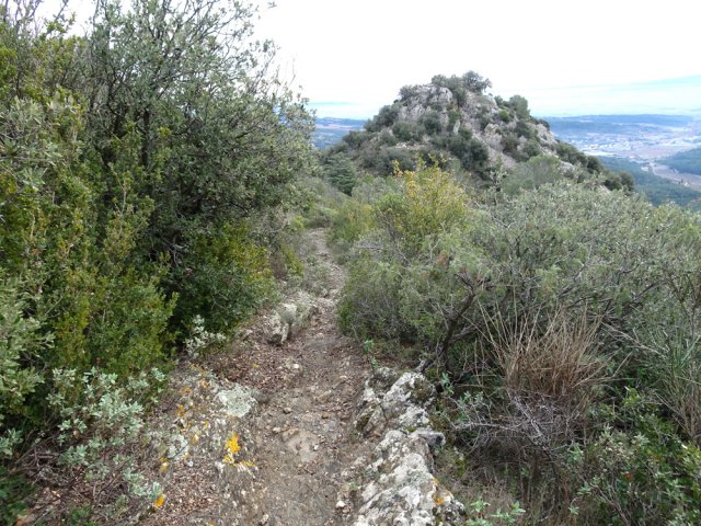 La montée au Castrum de Ventajou ne prend que quelques minutes pour découvrir peu de vestiges