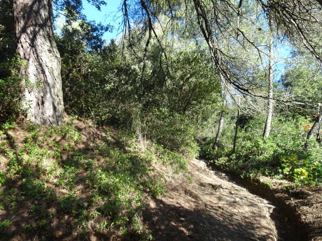 Le sentier de raccourci pour éviter un long lacet de la piste