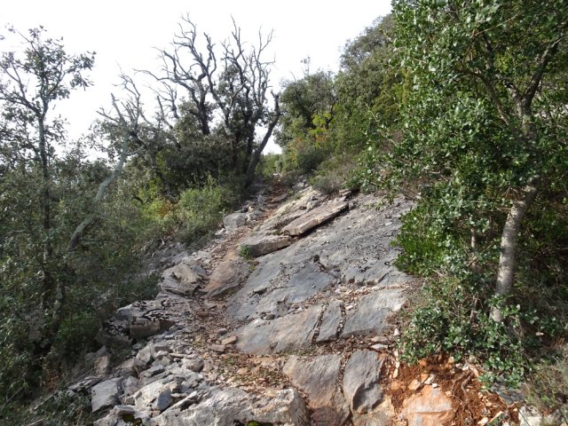 Il comporte quelques portions assez pentues coupant le souffle