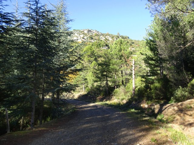 Plusieurs belles pistes ombragées ramènent vers le point de départ