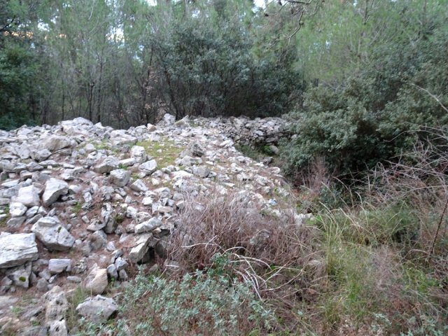 Une courte portion de l'enceinte préhistorique du Cros, bâtie au 8ème siècle avant JC