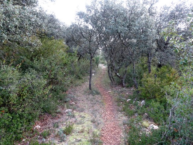 Quitter la piste pour emprunter le sentier vers la carrière du Castillou