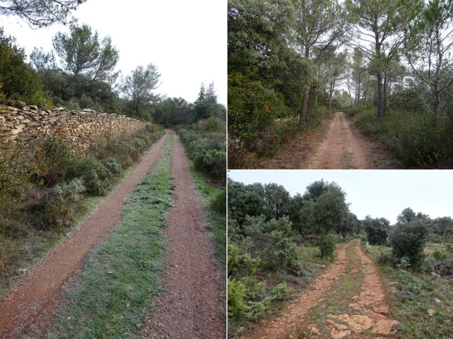 Quelques portions de pistes et chemins vers la Planette