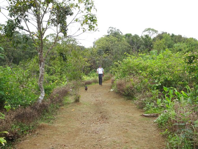 Poursuite de la descente après le gîte sur un sentier toujours aussi beau