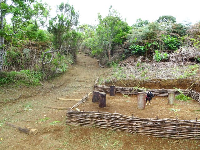 Arrivée au sentier historique entre Sans Souci et l'Îlet Alcipe