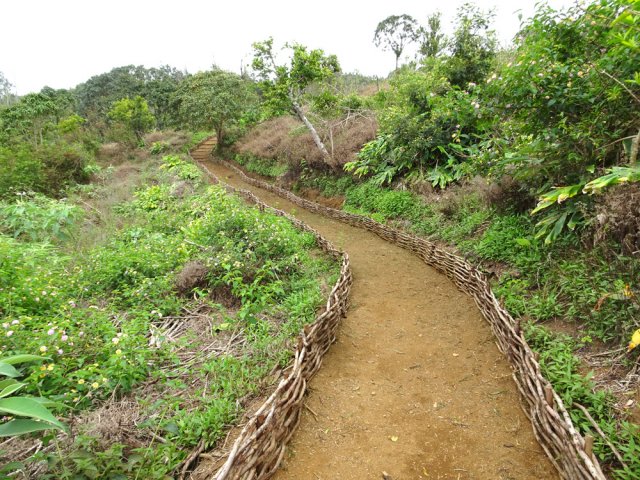 Ce sentier est remarquablement entretenu