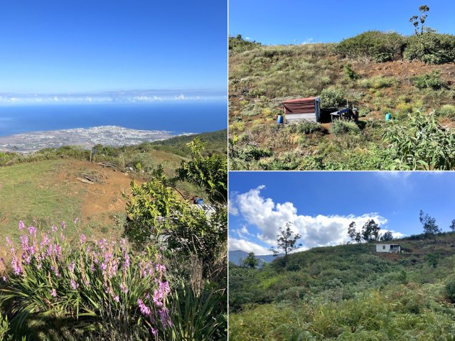 Les champs ne sont plus cultivés mais les cabanes demeurent
