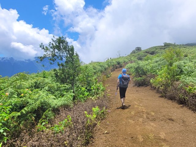On aperçoit au loin les poteaux de l'ONF au croisement des sentiers