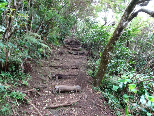 Nouveau sentier comportant descentes et montées courtes mais raides