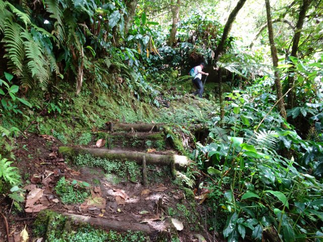 Forte descente vers la Ravine la Plaine