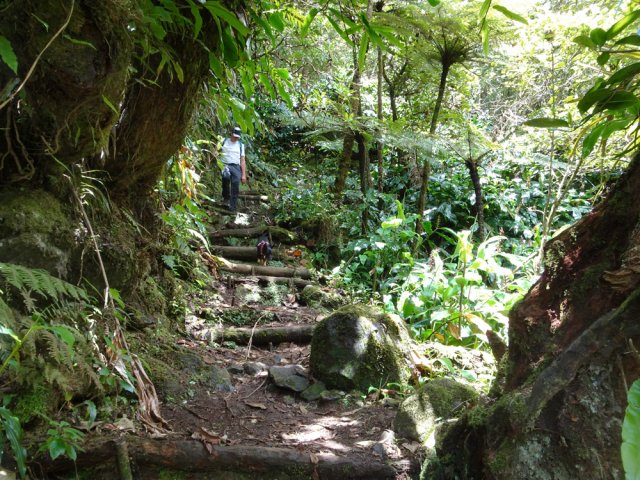La fin de la boucle est plus sportive avec de hautes marches