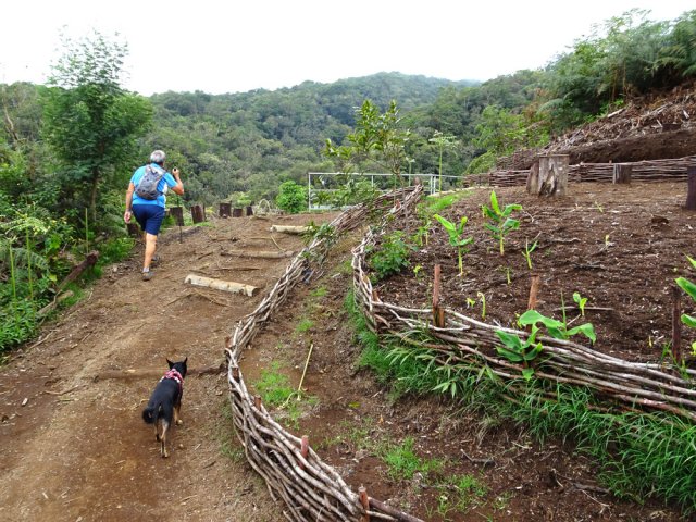 Une aire paysagère et de repos aménagée près de l'escalier