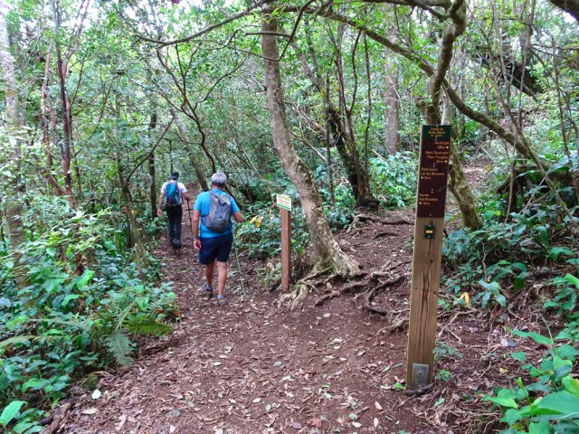 Prendre à gauche à ce croisement où l'on reviendra en fin de boucle