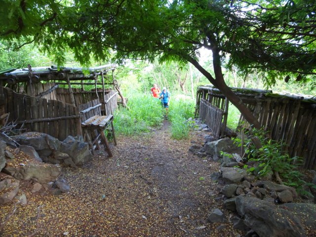 Le sentier se termine entre des "cabanes bambou" pourvues de bancs pour le repos