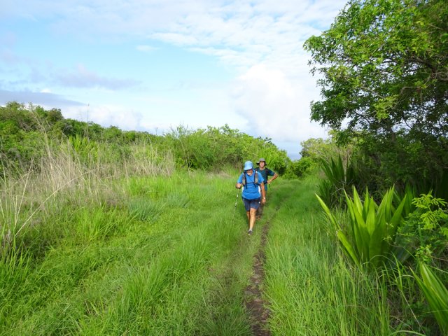 La fin de la montée s'effectue sur une ancienne piste