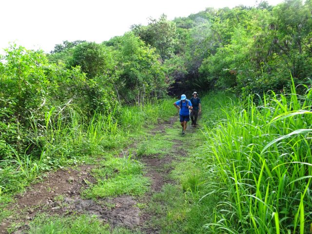 Plus on monte et plus cette piste semble être empruntée régulièrement