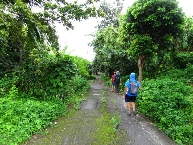 La longue descente débute par le Chemin Macé longeant les habitations du Ruisseau