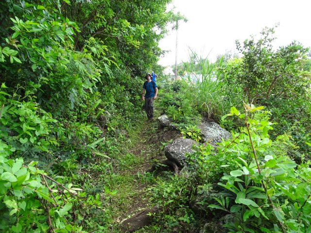 Le chemin se transforme rapidement en sentier pas toujours entretenu