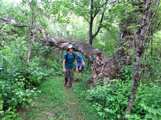 Très agréable sentier au début de la randonnée