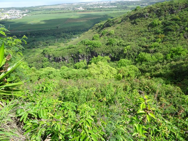 Le sentier se rapproche de plus en plus de la vallée de la Ravine Bassin