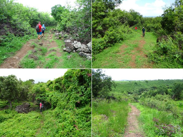 Emprunter au choix l'un des sentiers parcourant la savane