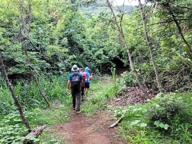 Les portions plates seront de plus en plus rares