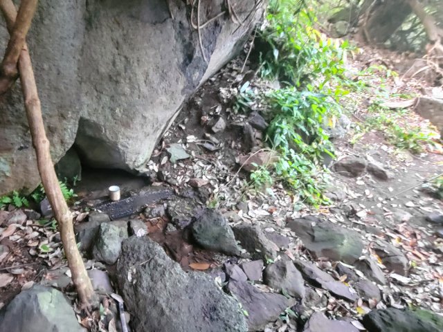 Une petite source surgissant sous un rocher