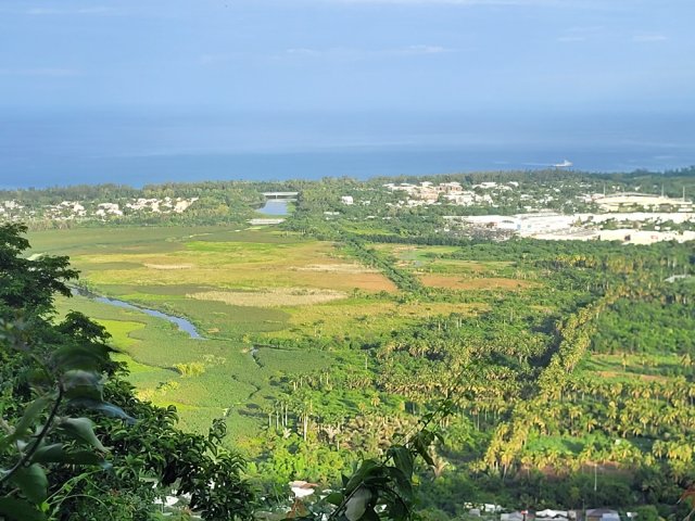 Après 150 m de montée, les panoramas sur l'étang se multiplient
