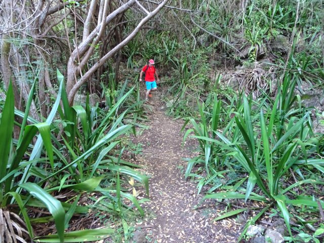 Sentier assez fréquenté et impossible à perdre