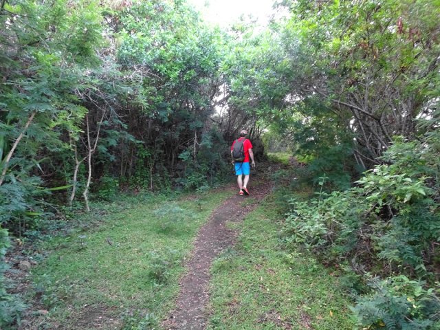 Très vite la piste se transforme en sentier