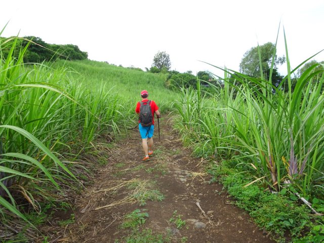 Aucune difficulté pour cette descente dans la verdure