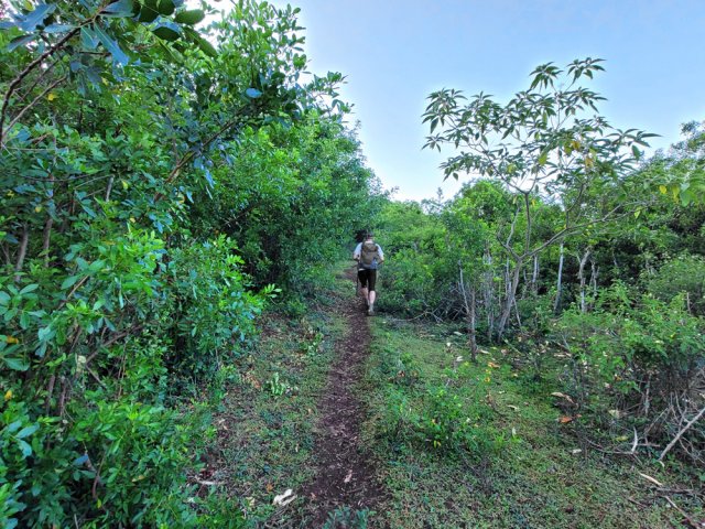 Ce sentier suit la courbe de niveau