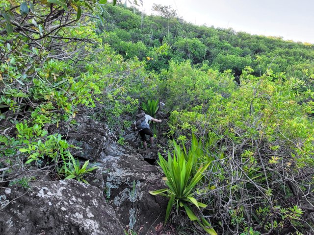 Une portion très rocheuse avec hautes marches