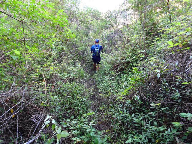 On retrouve le sentier du Cap Noir, officiellement fermé
