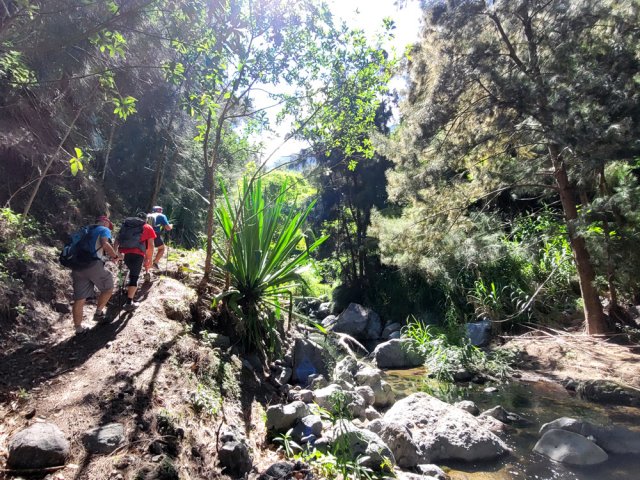 Arrivée au Petit Bras de Cilaos et début de la montée vers Palmiste Rouge