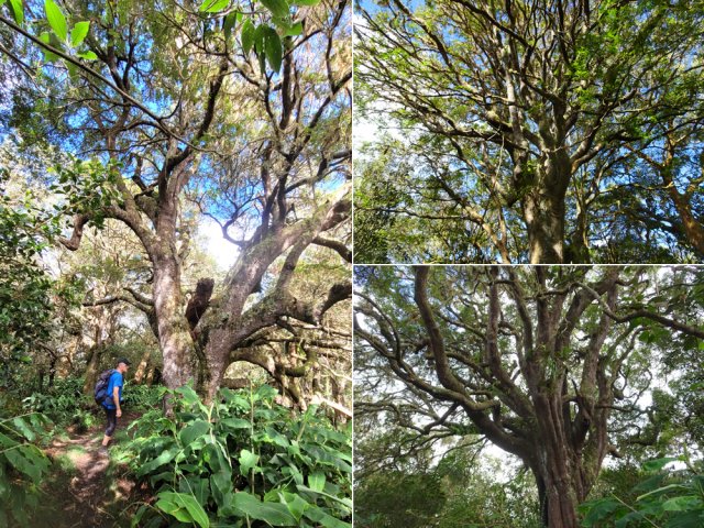 Le plus beau raccourci est bordé de dizaines d'impressionnants tans rouges