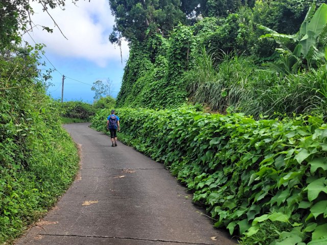 Plus bas, près des habitations, on longe fleurs et cultures