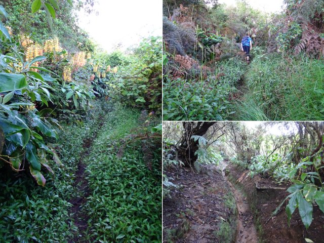 Heureusement, plus haut, cela devient de plus en plus aisé