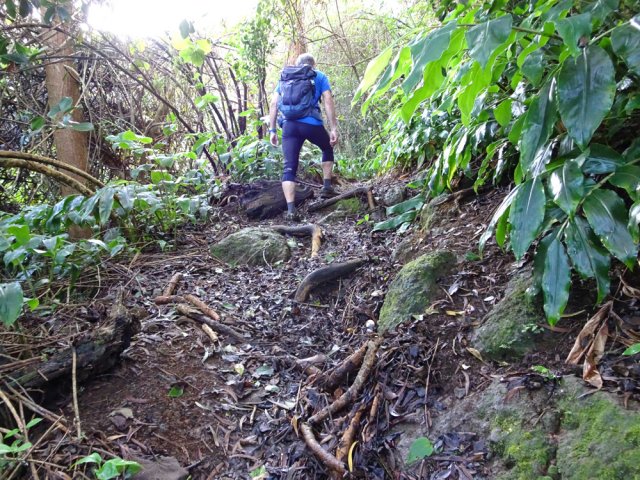 On retrouve de véritables tronçons de sentier