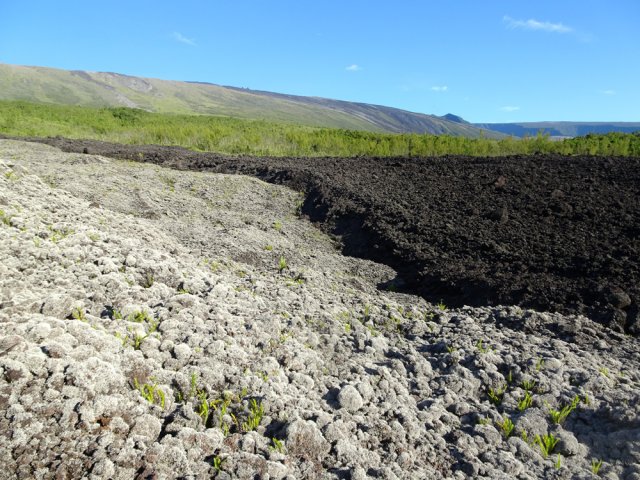 Cette coulée n'a pas atteint la route mais s'en est approchée dangereusement
