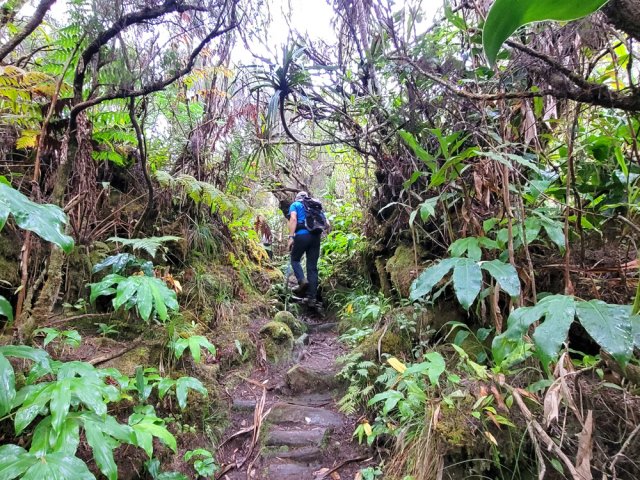 Rares raidillons vers la Plaine des Fougères