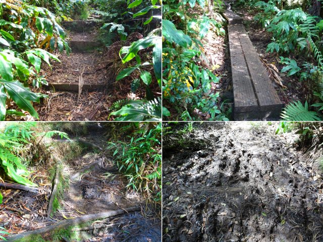 Tous les types de sentiers permettent de rejoindre le rempart de Salazie