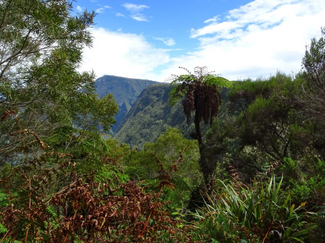 Le Piton Plaine des Fougères et Bénoune depuis le sentier du Bémassoune